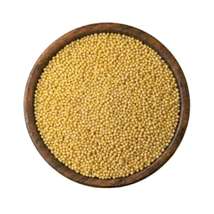 Foxtail Millet