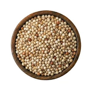 Sorghum (Jowar / Cholam)